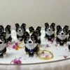 Breloczek Border Collie Druk3D