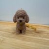 758573478_122133916575233916_2961478544936307493_n 🐩 Brelok Pudelek 3D