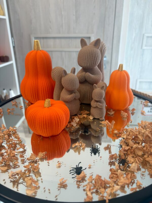 🍂 JESIENNY ZESTAW DEKORACYJNY 3D – DYNIE x3 + WIEWIÓRKIx3🐿️🎃