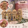 aaaaa 🐩 Brelok Pudelek 3D
