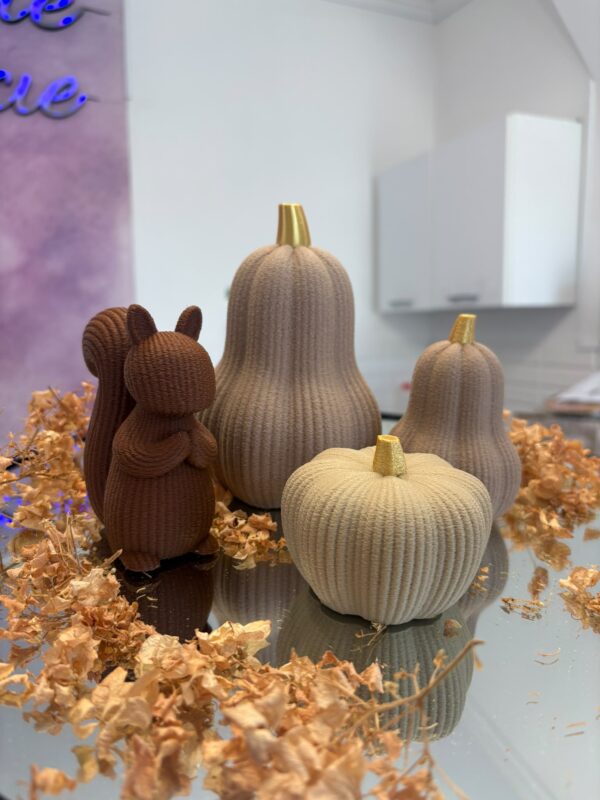 Zestaw Dynie x3  + Wiewiórka x1