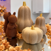 Zestaw Dynie x3  + Wiewiórka x1